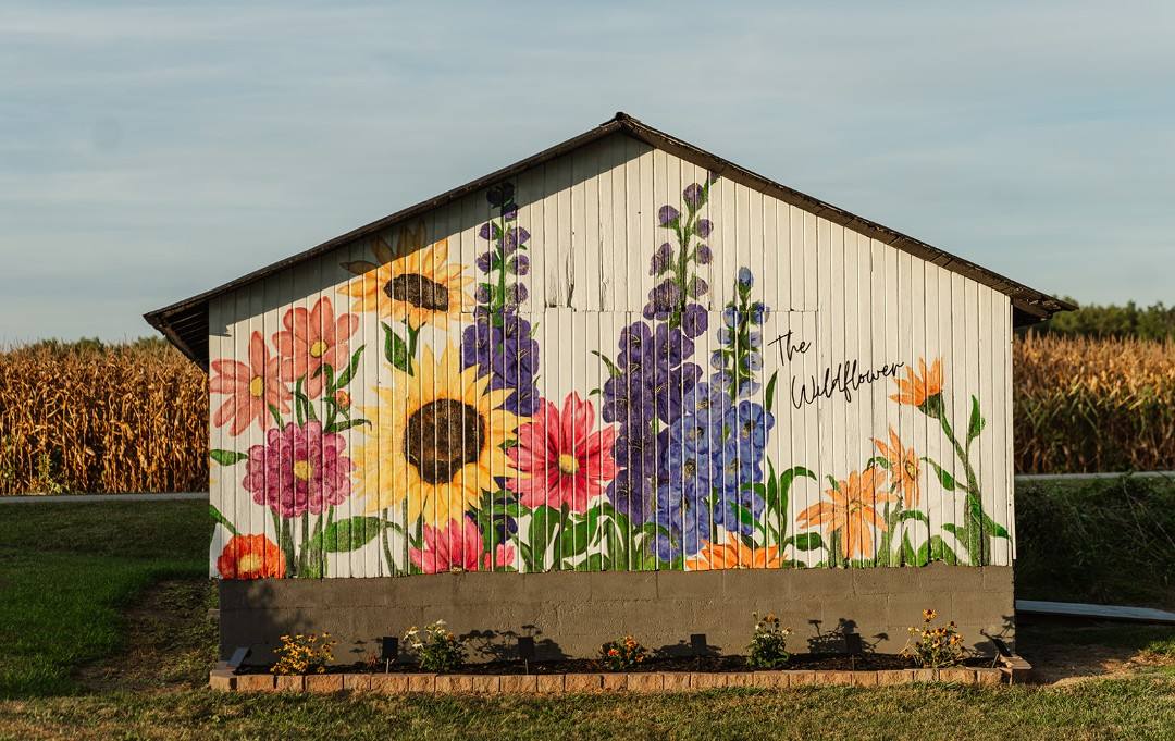 Wildflower mural on the barn
